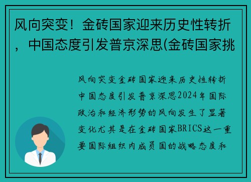 风向突变！金砖国家迎来历史性转折，中国态度引发普京深思(金砖国家挑战世界经济新趋势)